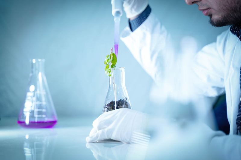 Agricultural innovation and crop research